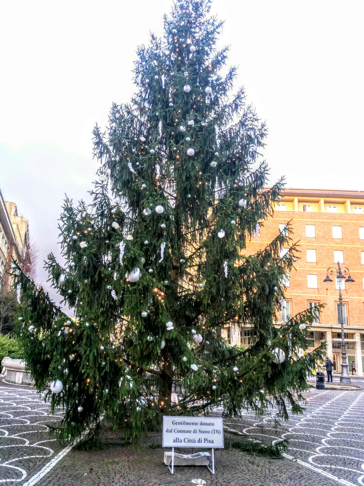 Albero Natale Pisa