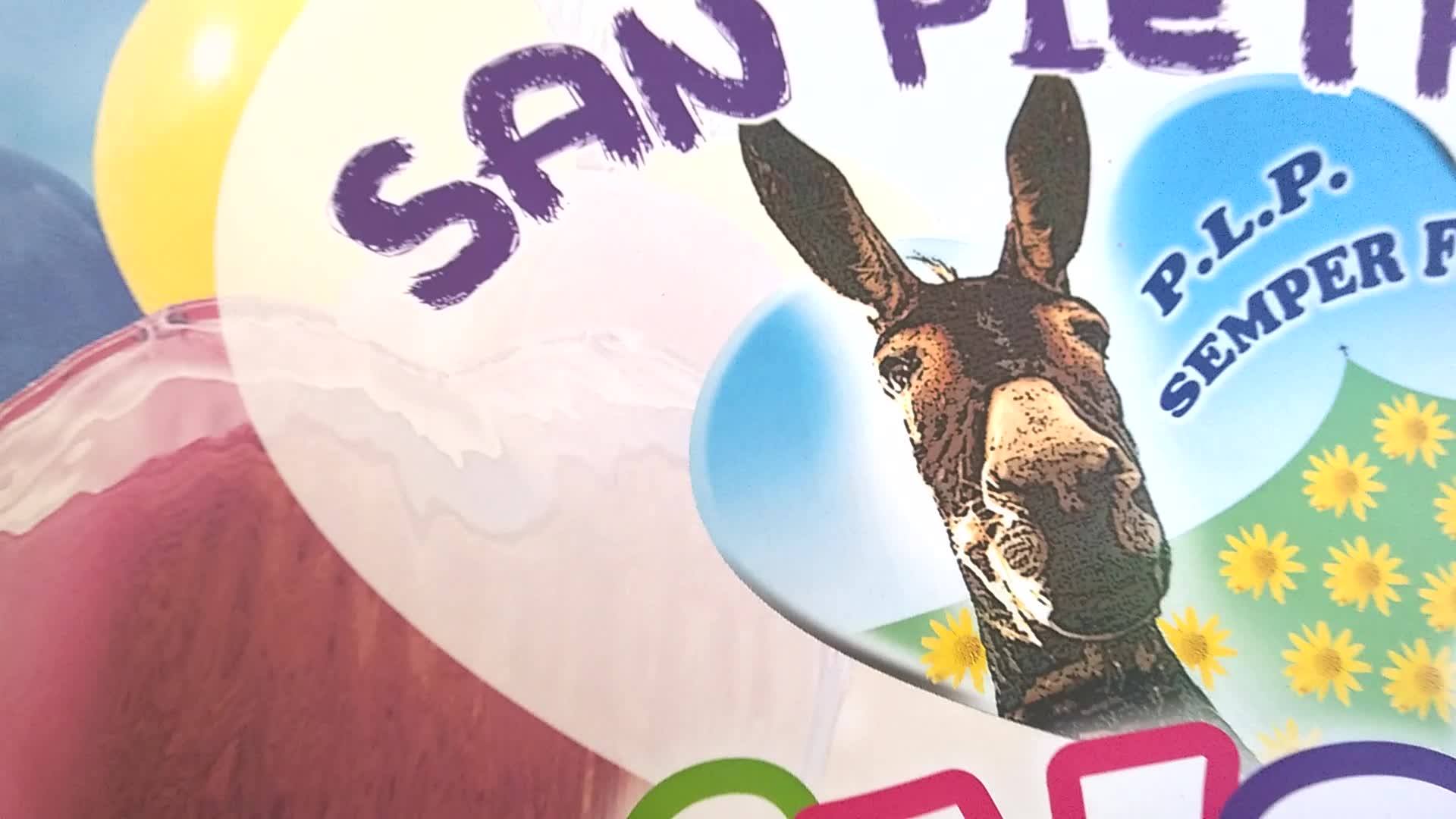 19264654 1409746599103975 1117499261306044711 o