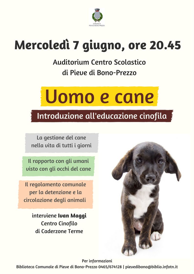 WhatsApp Image 2017-06-04 at 07.48.29