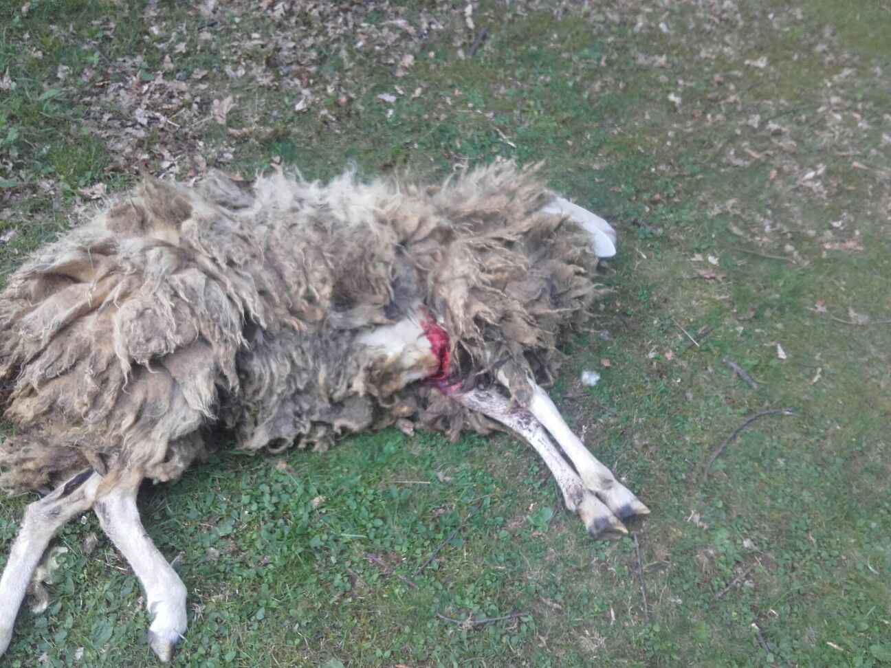 WhatsApp Image 2017-07-12 at 19.33.19