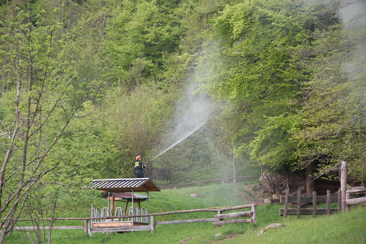 Incendio boschivo a Cerva. Fortunatamente è solo una simulazione da parte dei Corpi della Busa della Pieve per lesercitazione 2