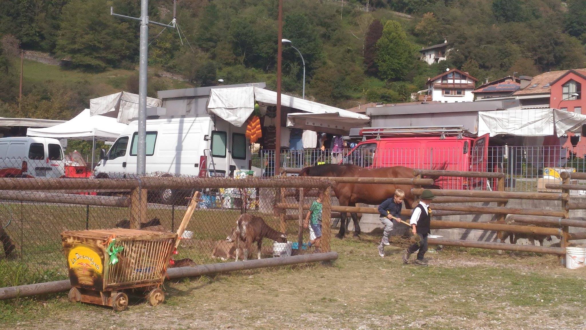 14500410 996338347159703 8809839209545580914 o