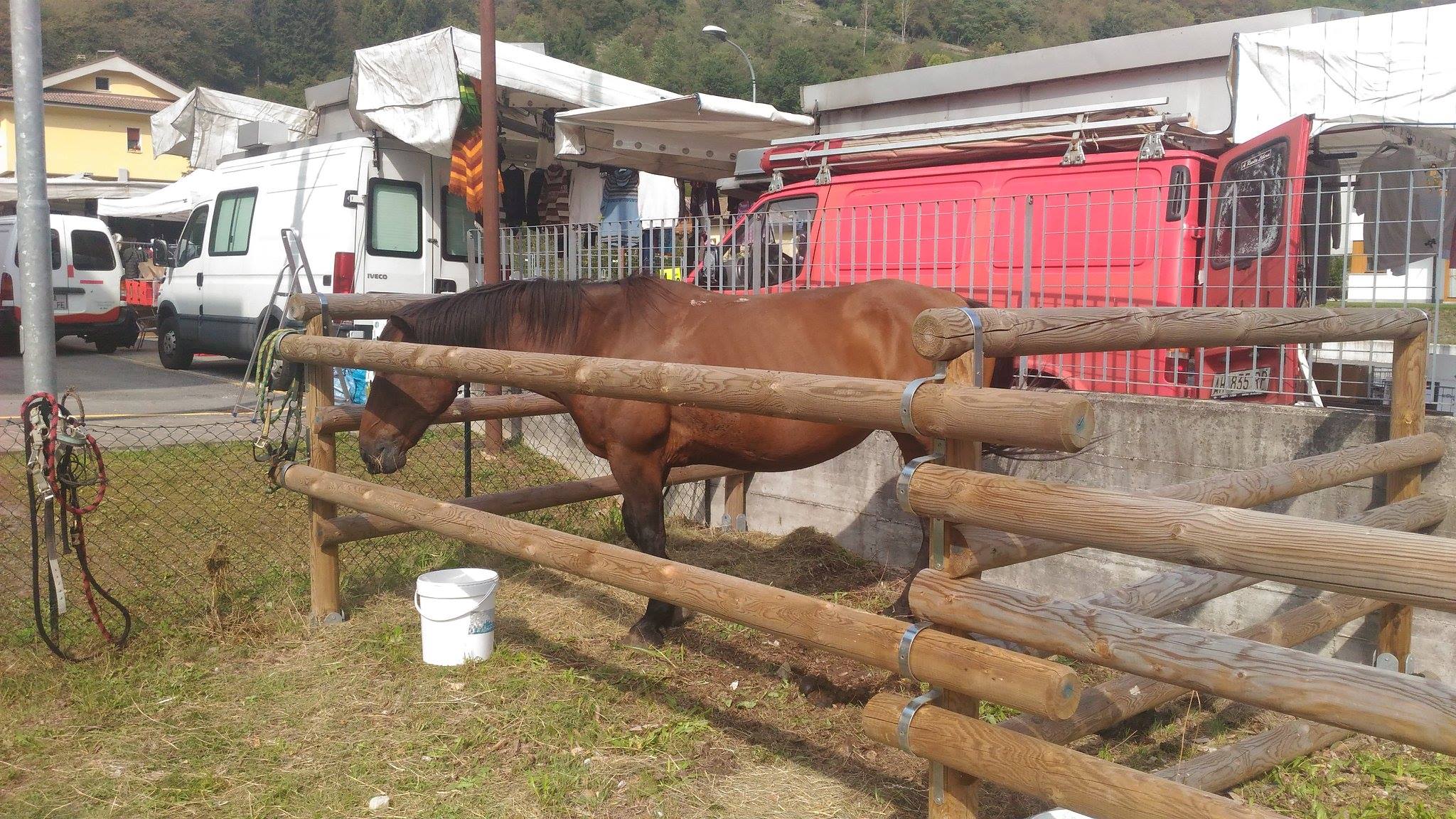 14500571 996338717159666 4125667643025704037 o