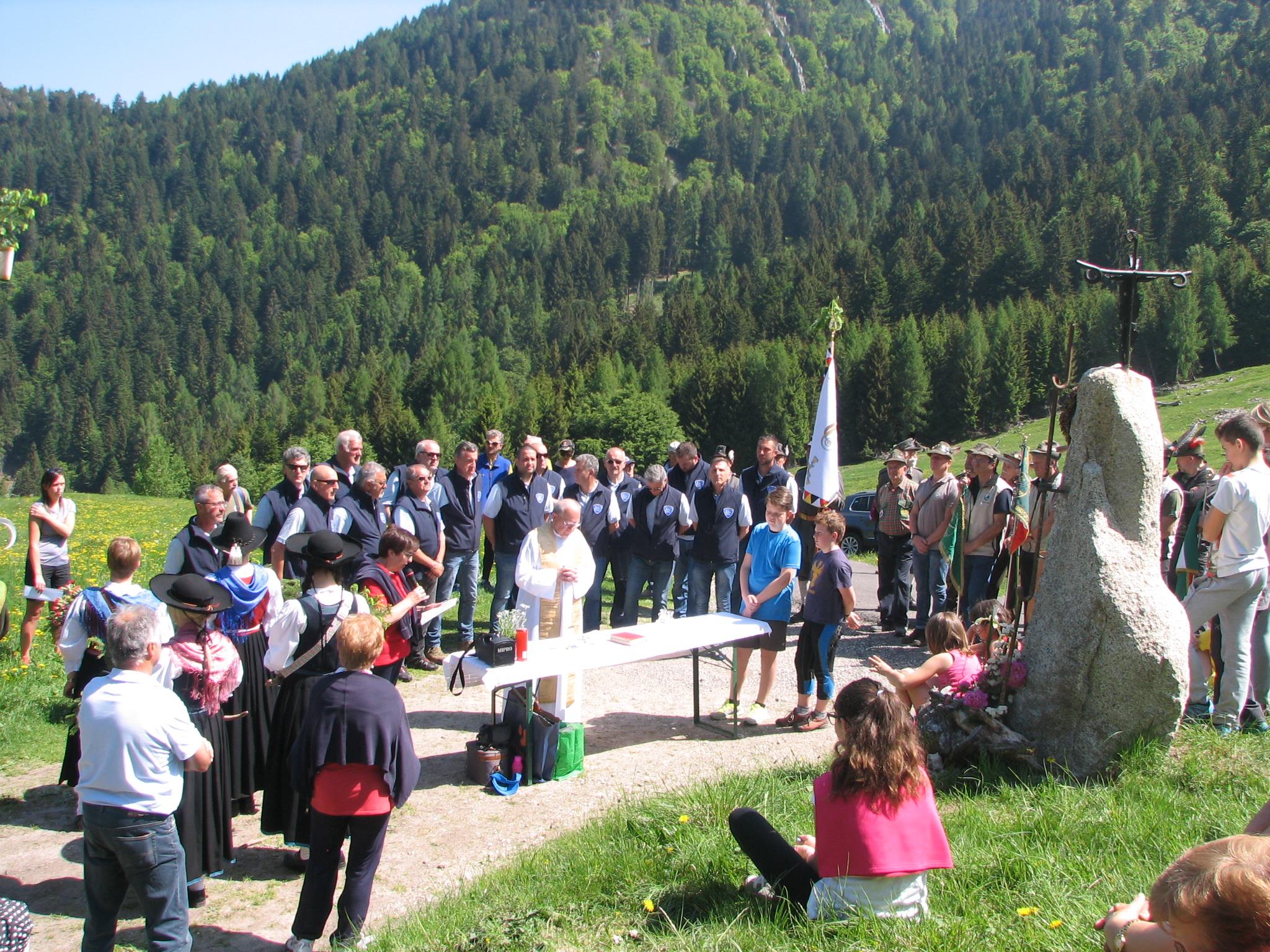 18768357 1743049869054756 2467825546463326285 o