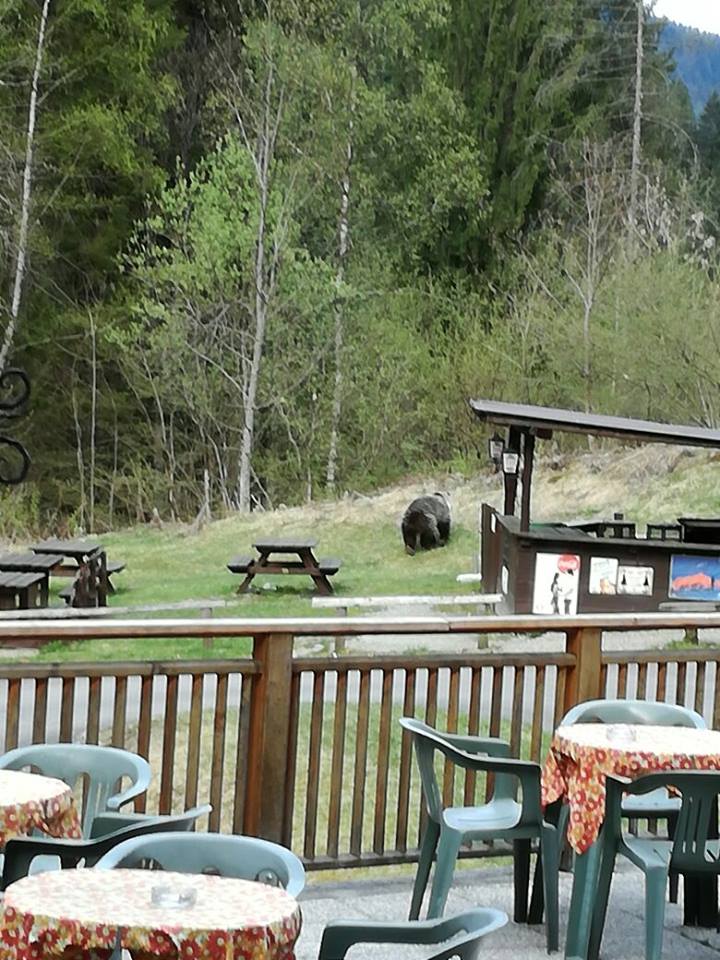 17974777 1732112420142373 365905451 n