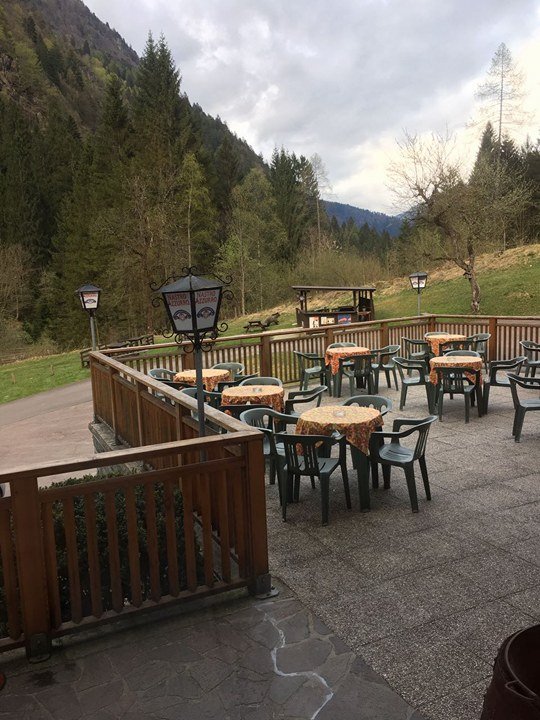 18009954 1732103553476593 1752762691 n