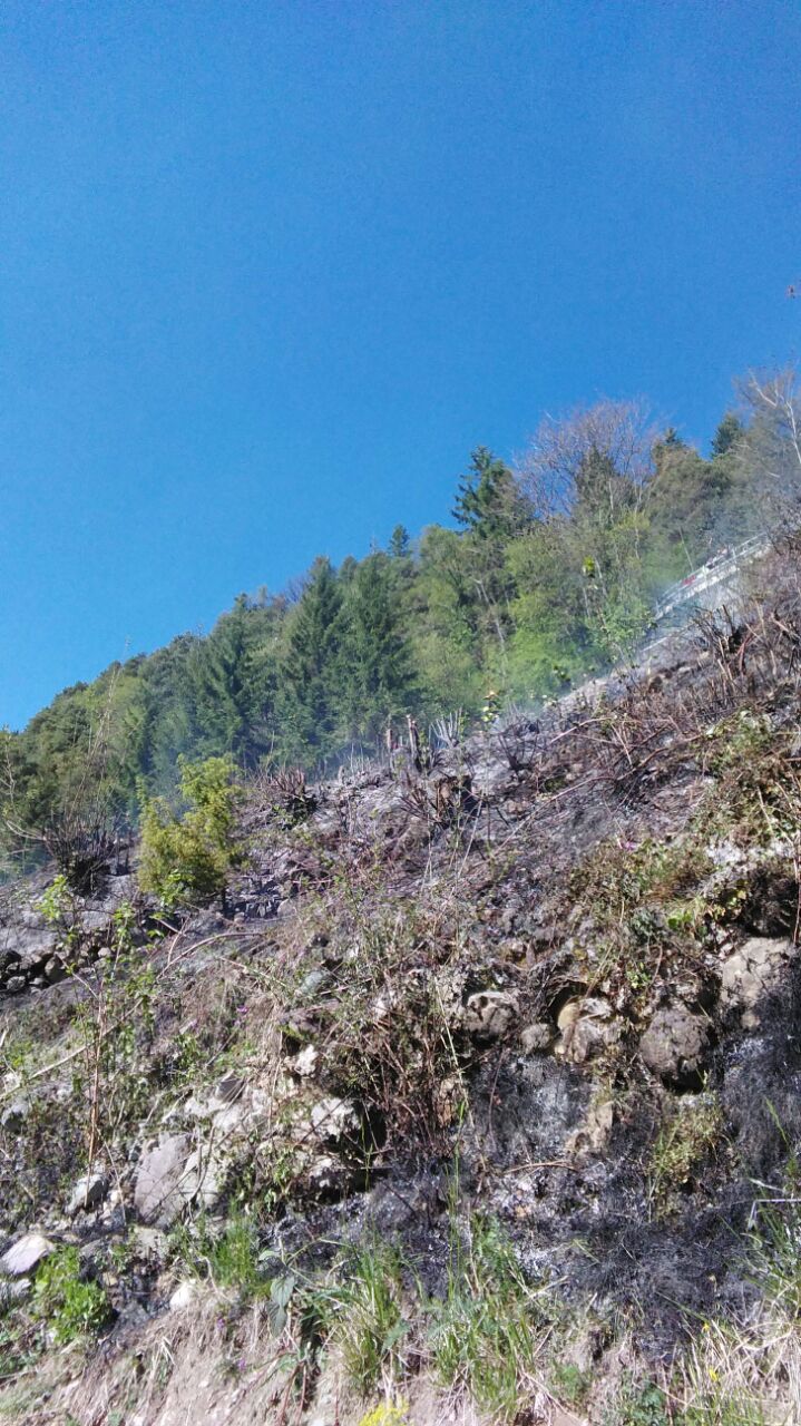 IMG-20170420-WA0000 1