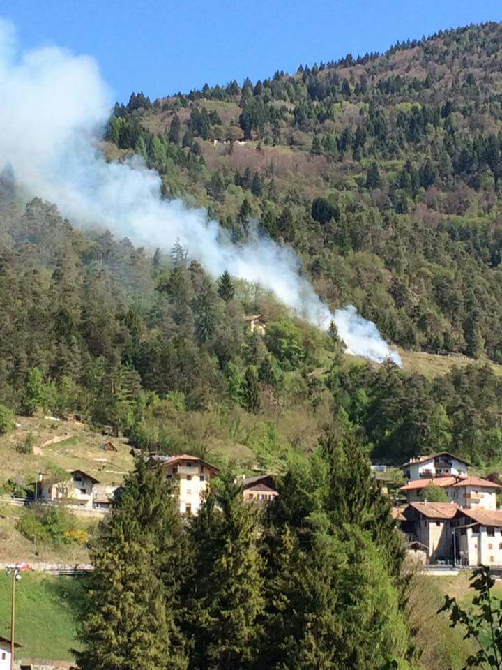 IMG-20170420-WA0001 1