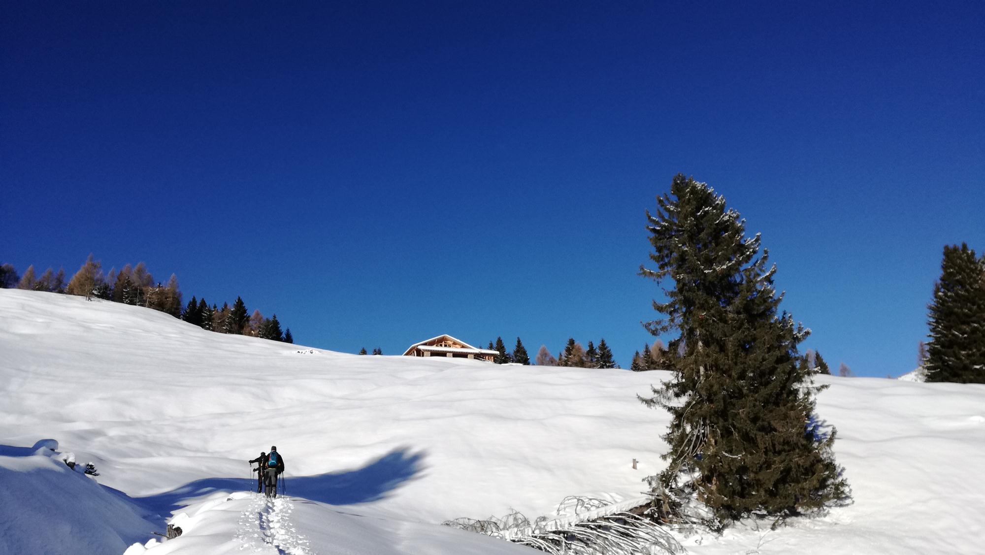 IMG 20180102 095143 1