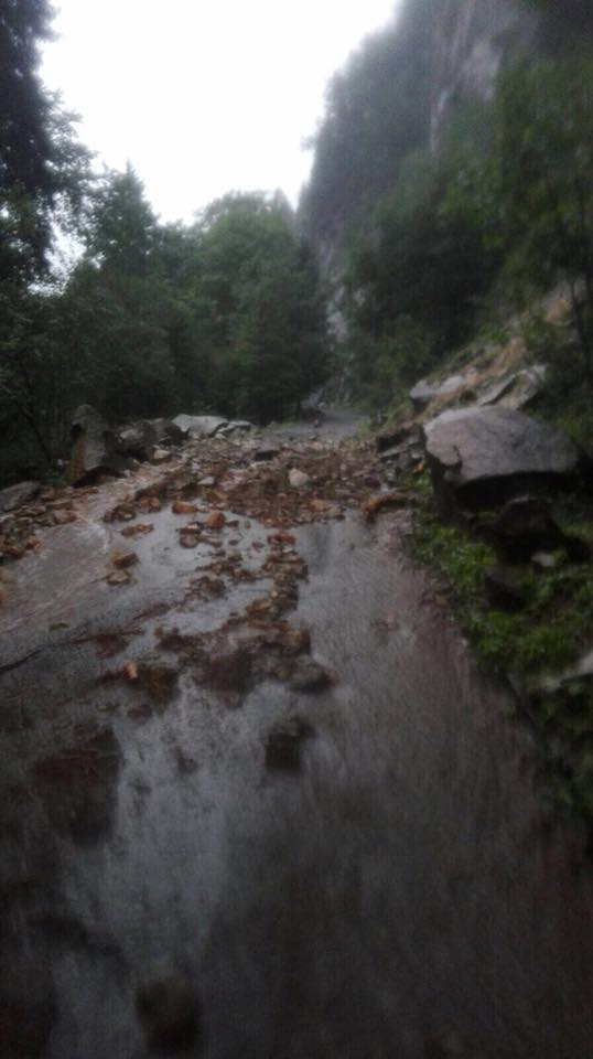 20768265 10212441692749176 5361446046094063343 n