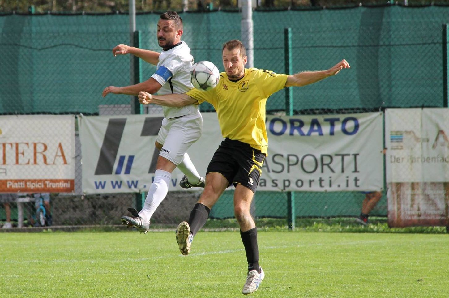Condinese