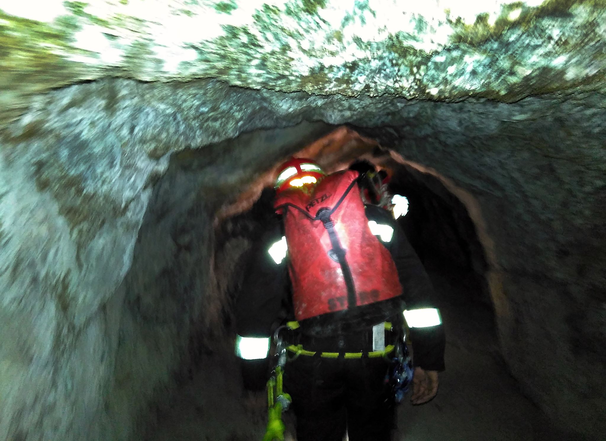 16402858 10158211106080252 8580685575239953496 o