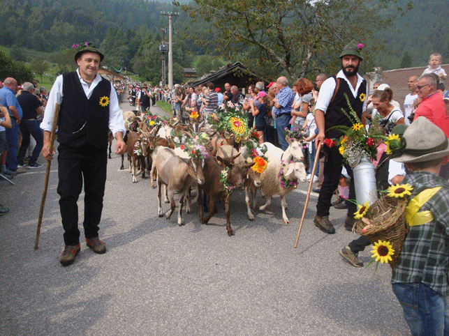 Desmalgada 2016
