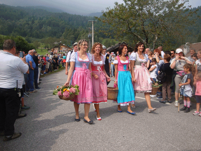 Desmalgada boniprati - 2016