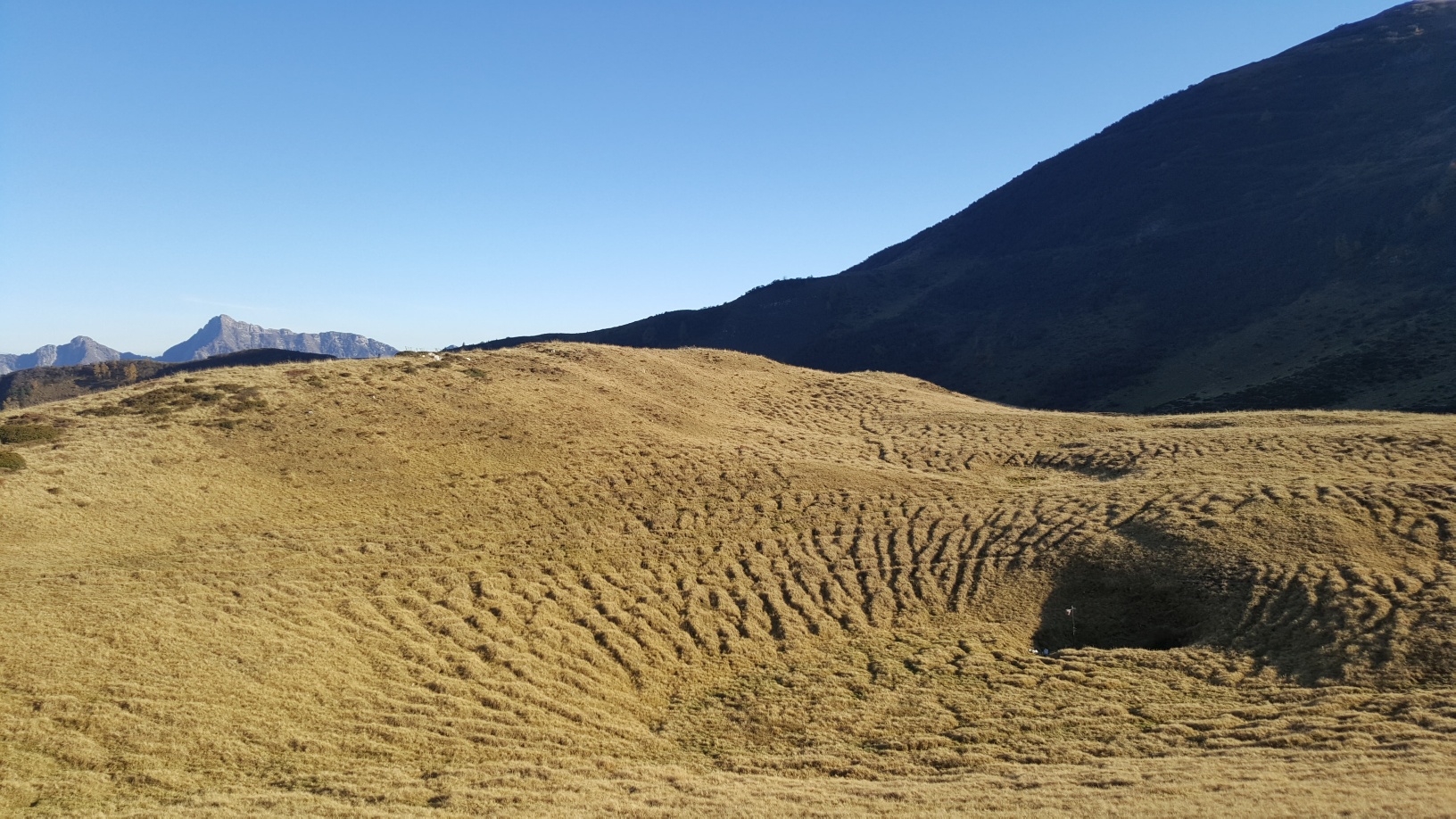 avalina 14 ottobre 2017 1