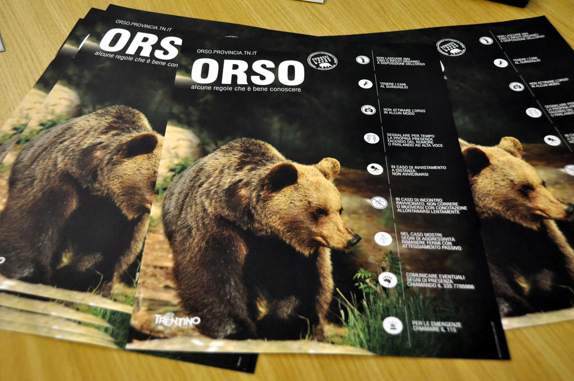 orso in Trentino convivenza regole Pat