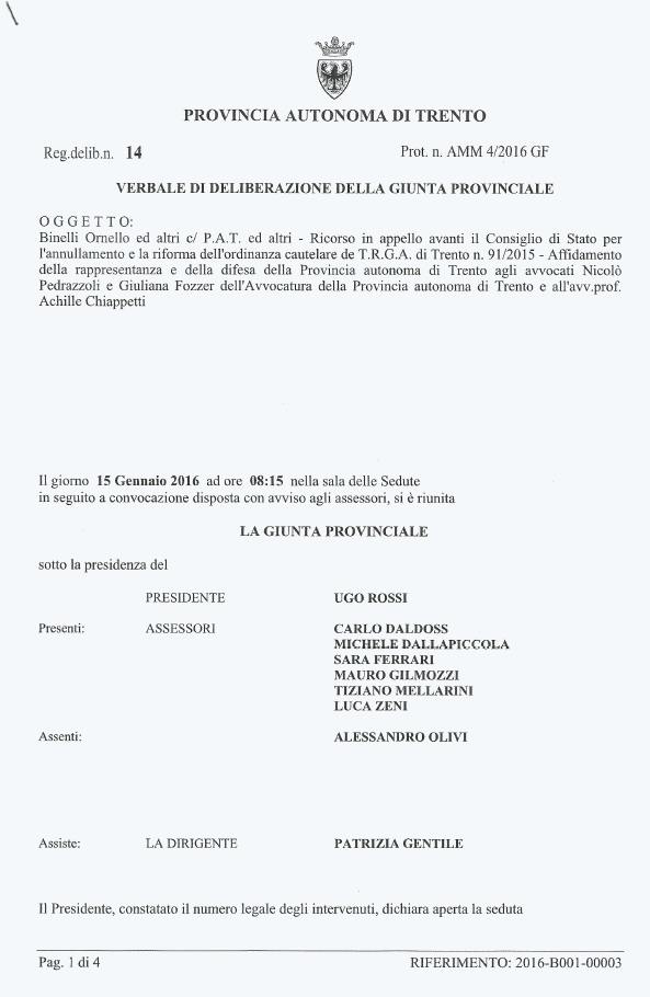 delibera giunta avvocato bianchetti