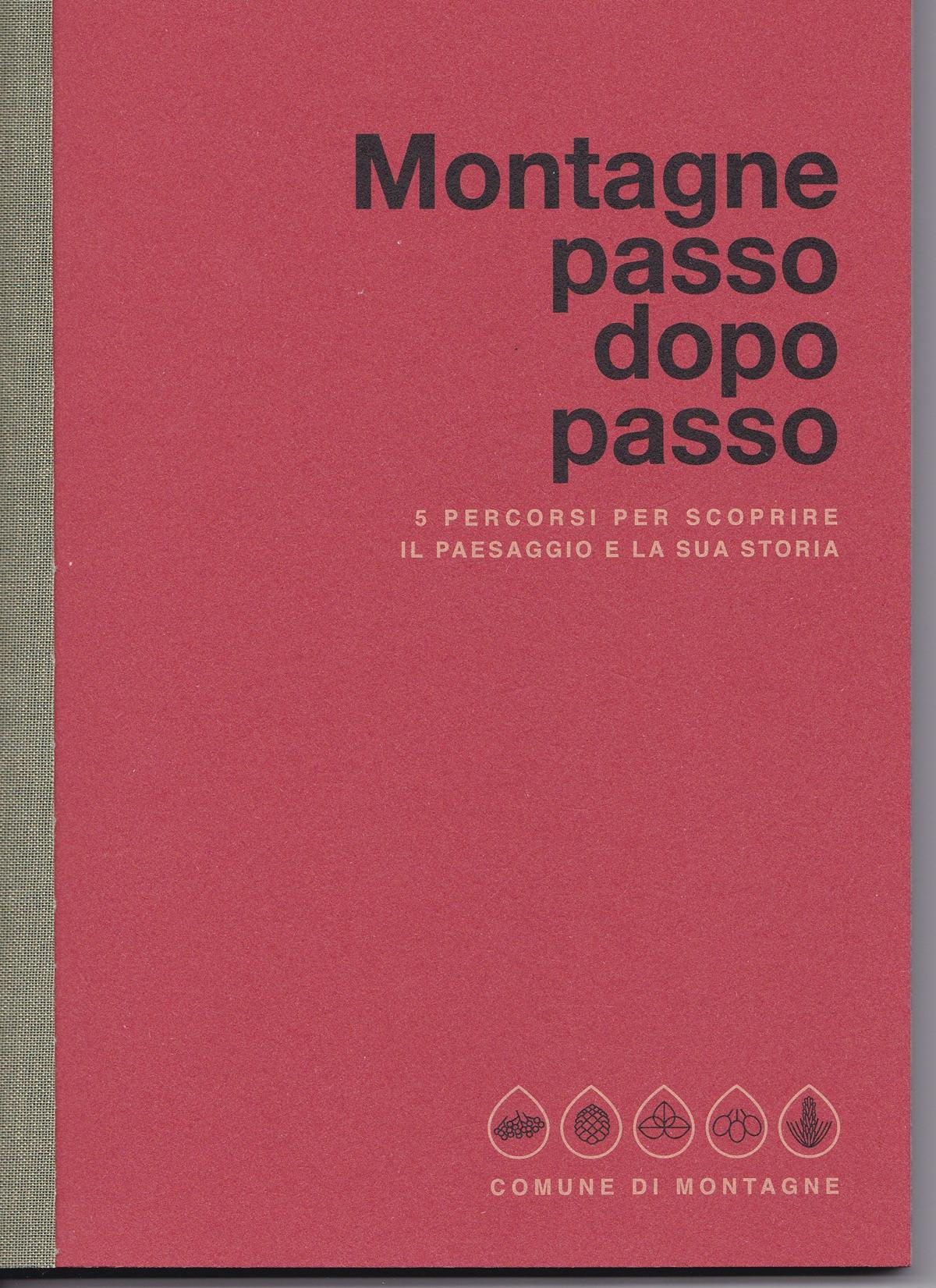 montagne passo dopo passo  - Libro Montagne