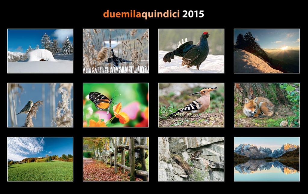 CALENDARIO 2015 Fotoclub F11