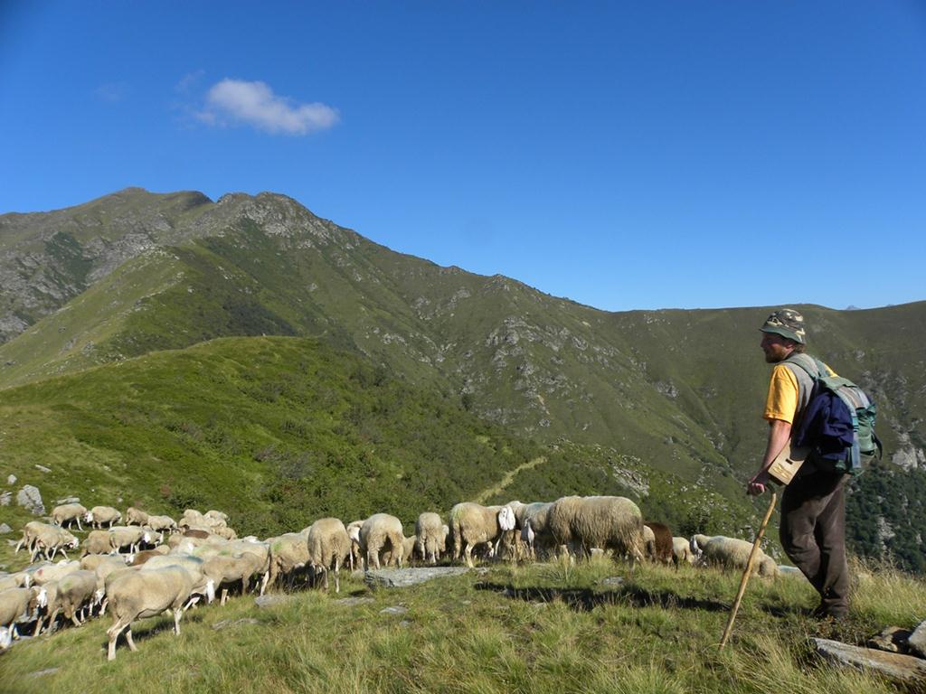 Comunità e Autonomia. Dal Blog di Marco Zulberti