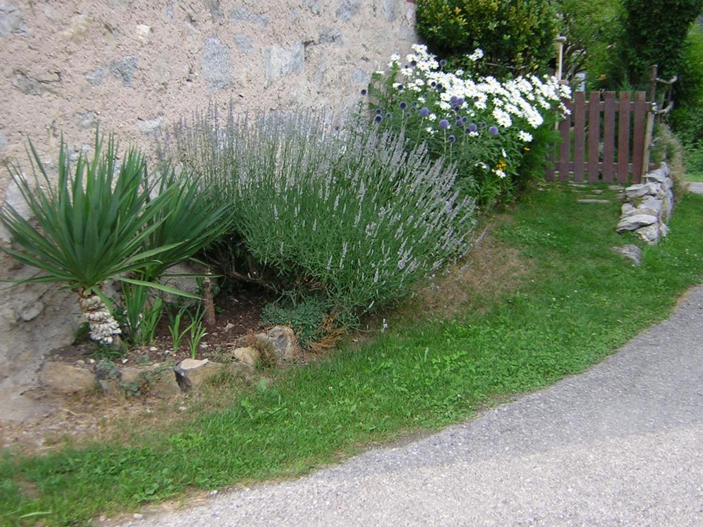 iron 2 adotta un sentiero Ragoli giudicarie