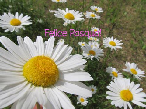 Buona Pasqua
