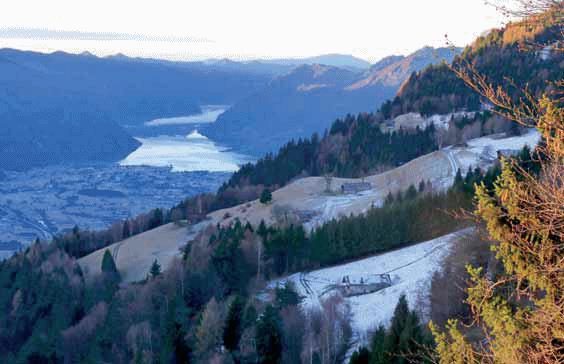  i versanti della valle del Chiese frequentati da B132 C. Groff - Archivio Servizio Foreste e fauna PAT