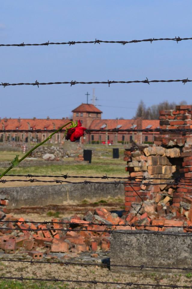 Treno della Memoria - Camilla Perotti
