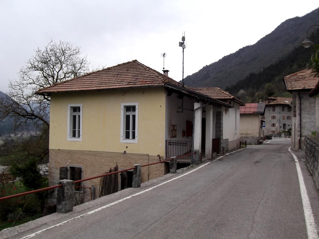 coltura ex scuola elementare lato est b