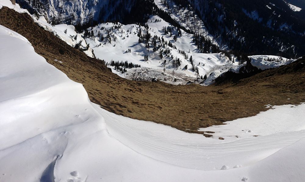 valanga doss del sabion verso bran da lors di qualche giorno fa- foto ermanno salvaterra