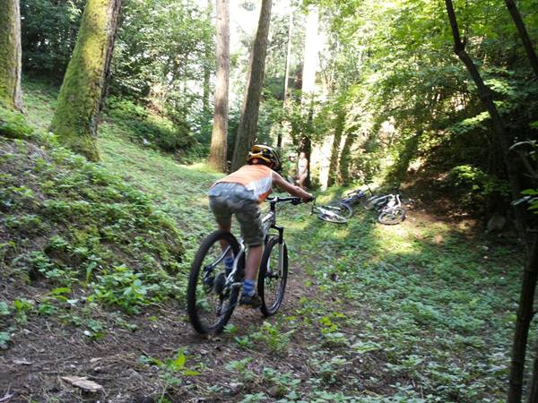 campo san lorenzo 1 campo san lorenzo 1