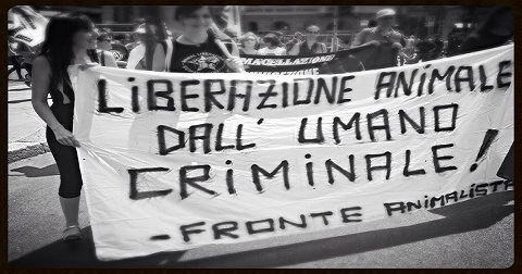 Daniza, Domenica a Pinzolo per la Sagra del Complotto