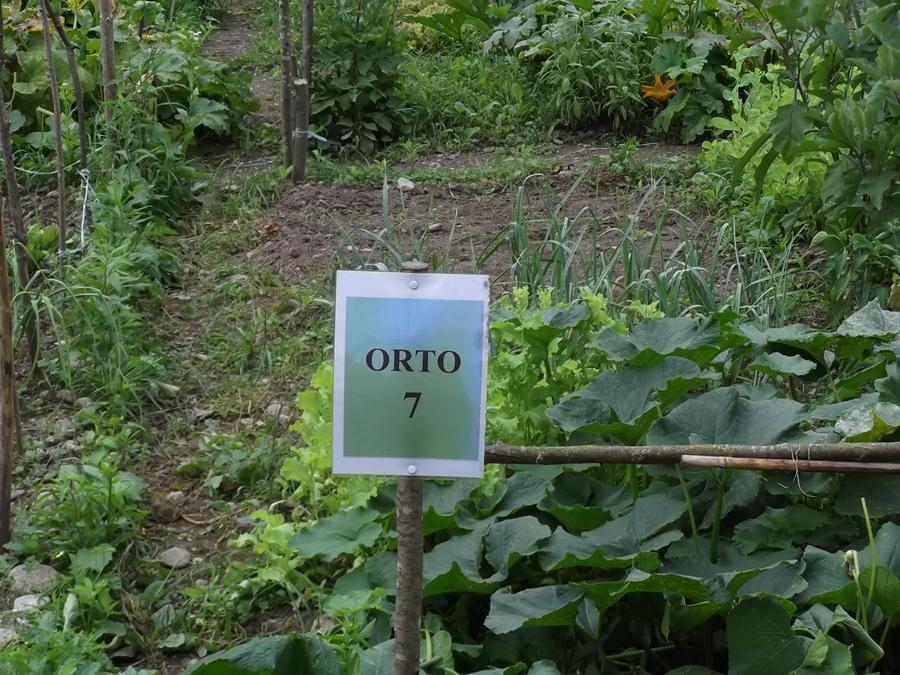 orti tione 1 1