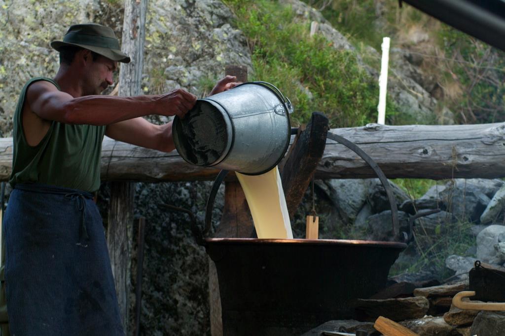 L'economia del latte trentino. Dal Blog di Marco Zulberti