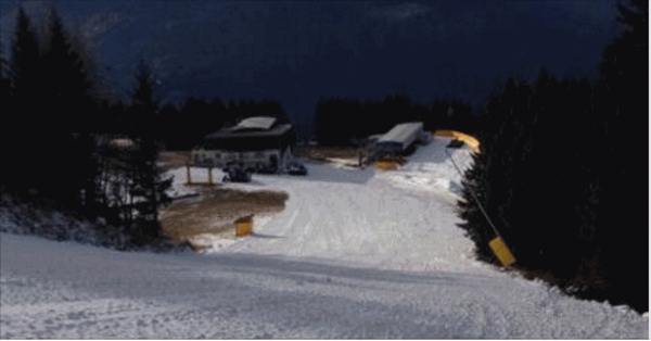 rododendro Pinzolo dicembre 2015