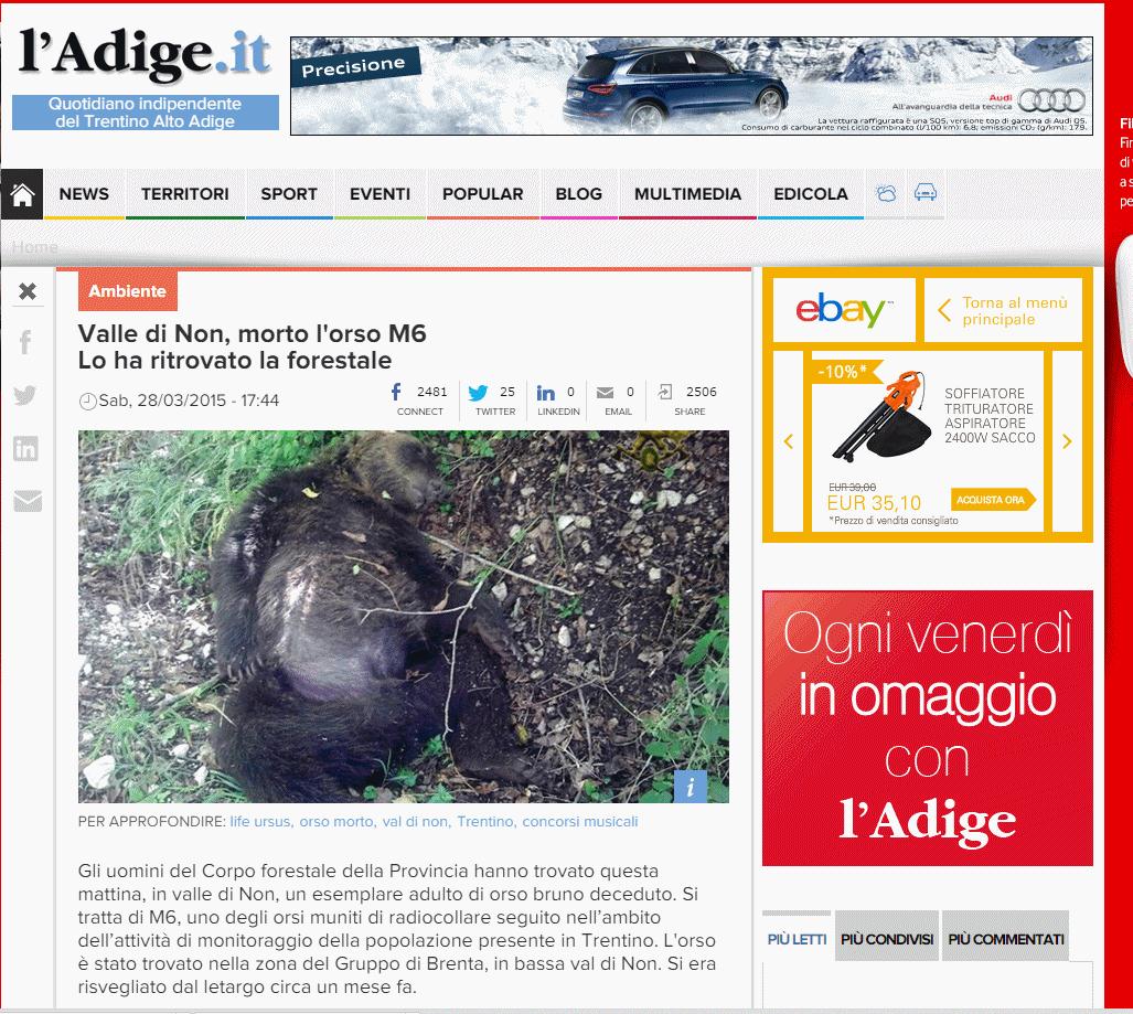 sbatti lorso morto in prima pagina