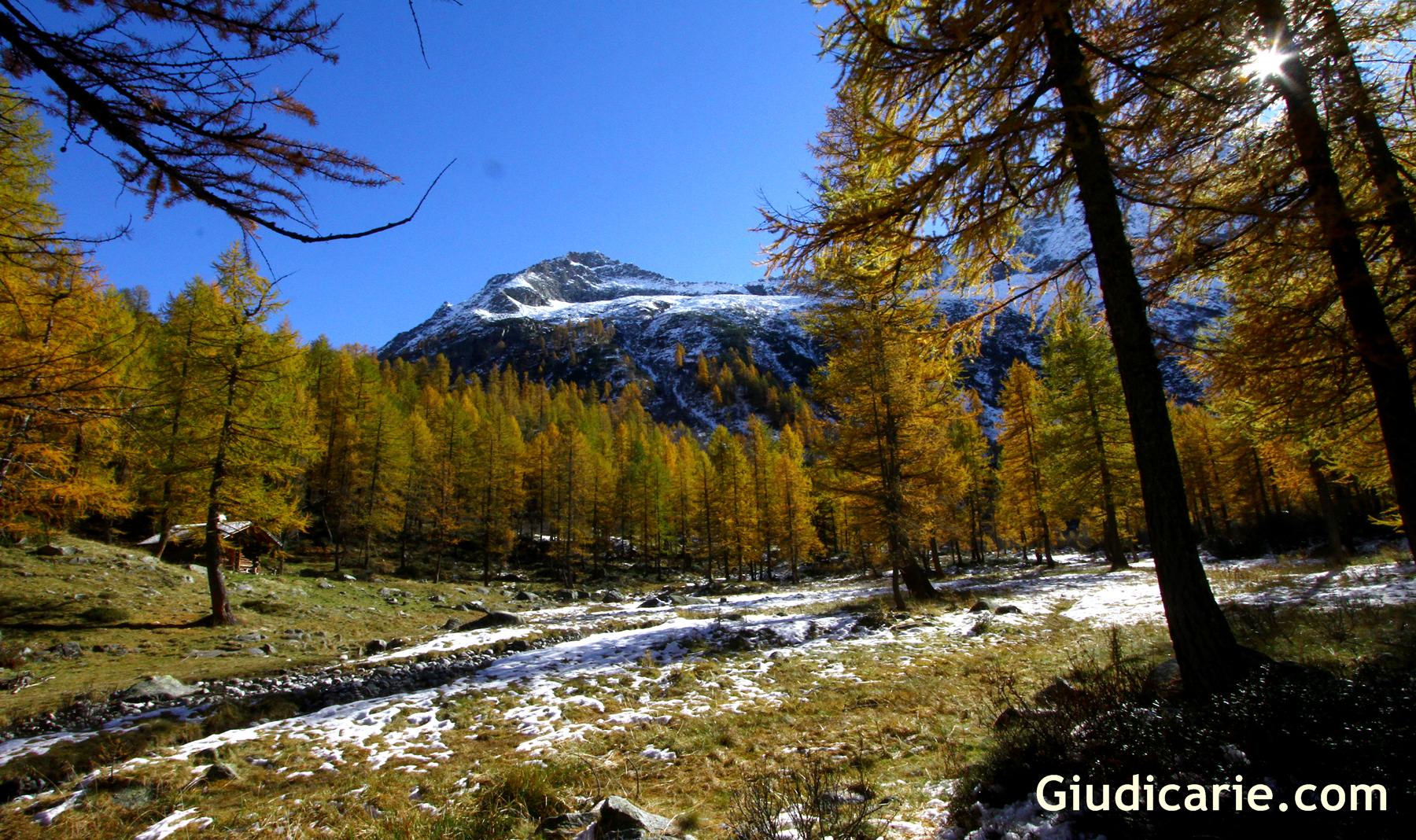 Val Genova - Parco Naturle Adamello Brenta ottobre 2015