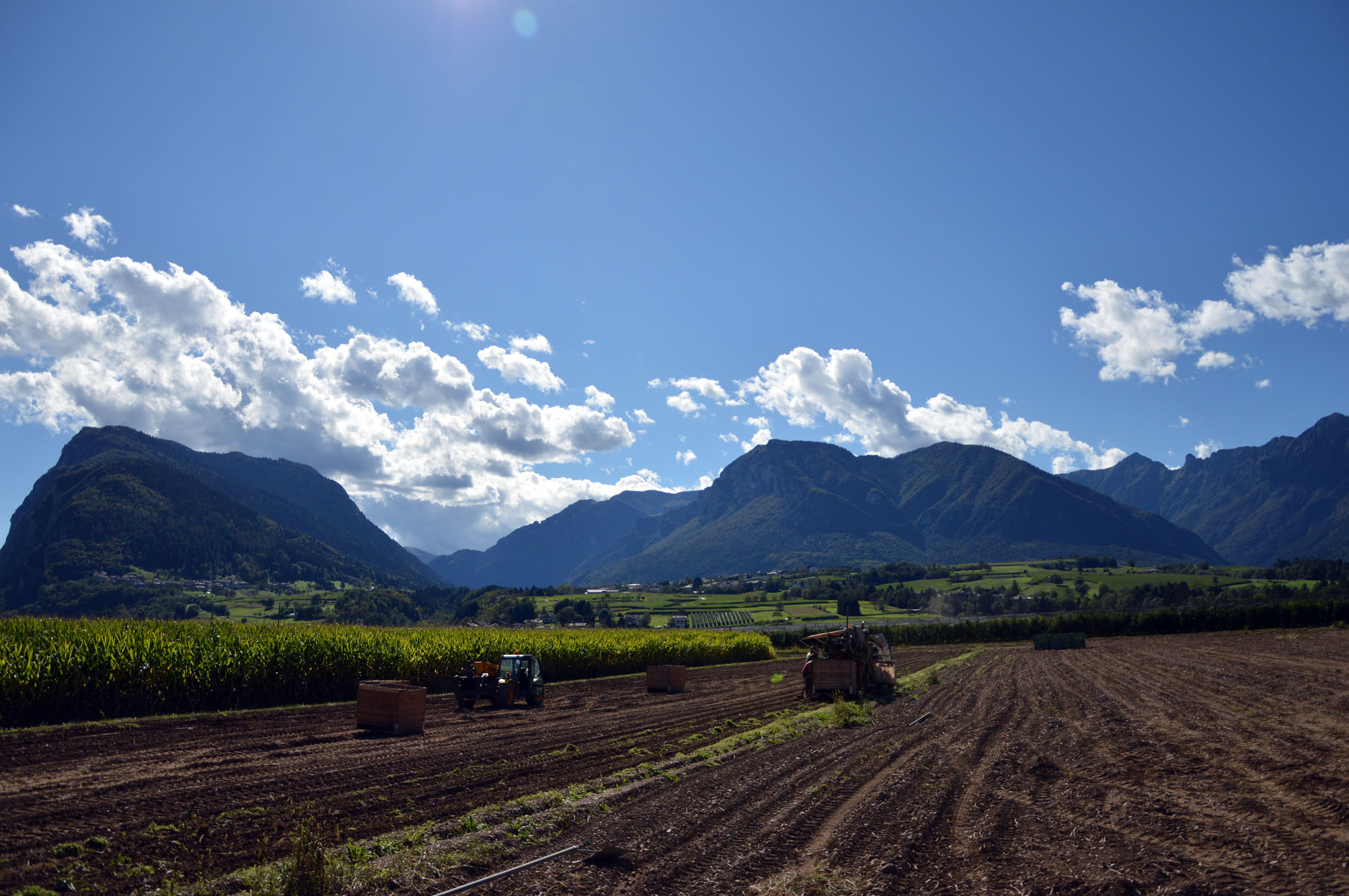 campi patate-Giudicarie Esteriori