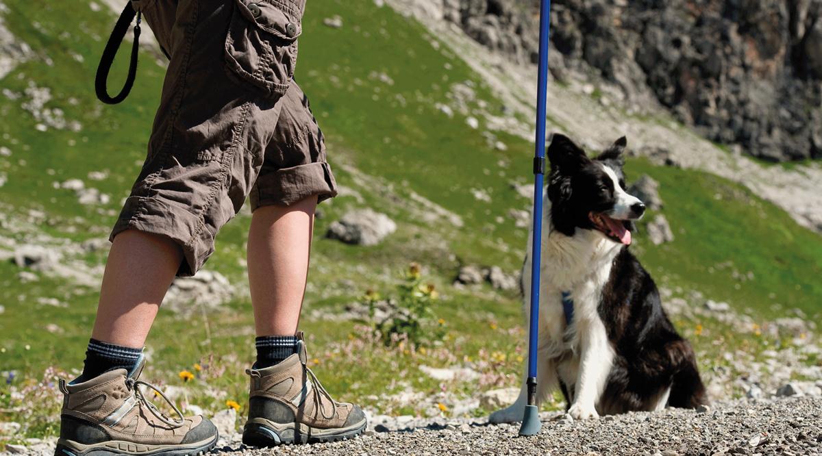 giornata nazionale del Camminare