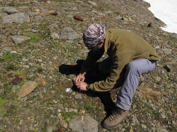 Mauro Gobbi ricercatore Muse