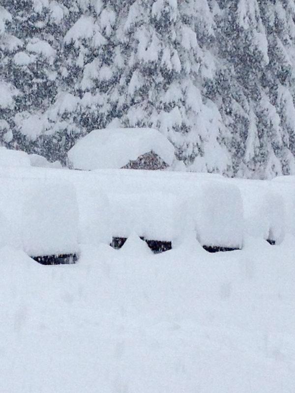 Neve a Pra Rodont - Pinzolo