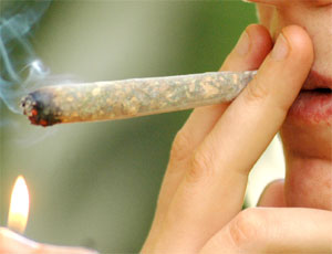 Spinello al liceo della montagna di tione