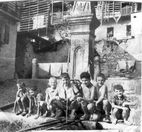 bregnpiasa