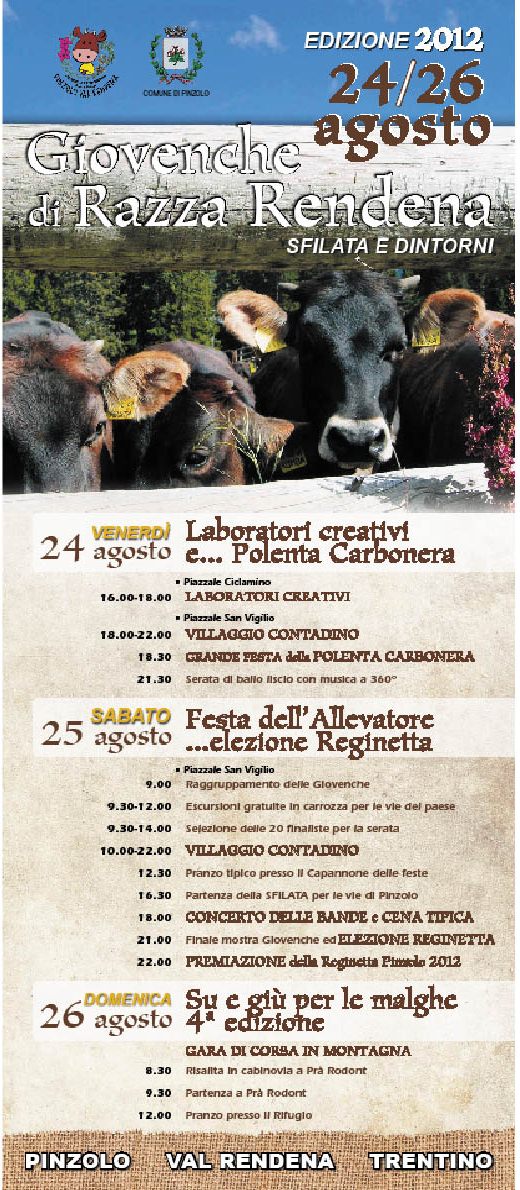 giovenche di razza Rendena-programma