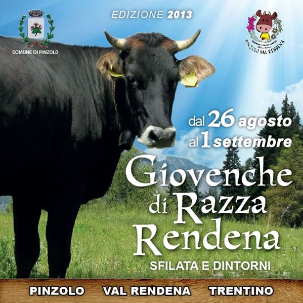 giovenche razza Rendena - dal 26 agosto al 1 settembre