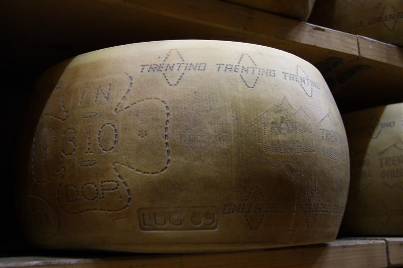 grana trentino TRENTIN-GRANA