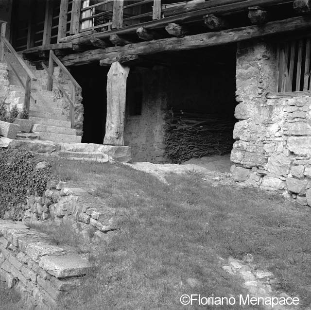 42 Irone b 300 bas copia