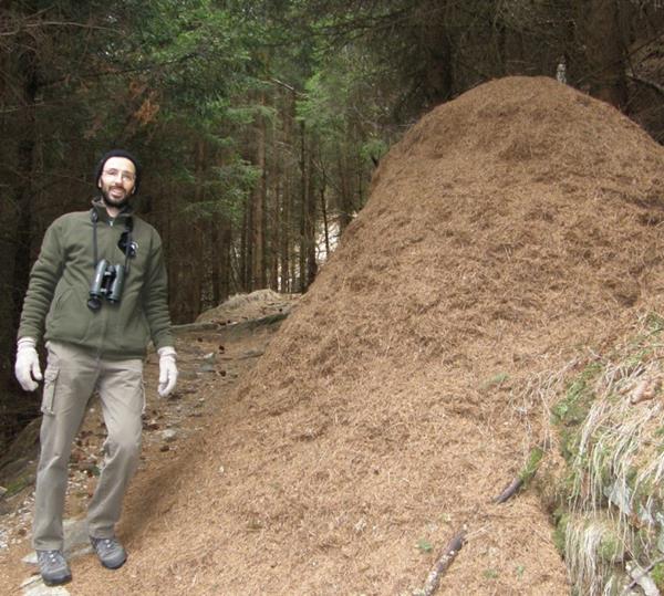 Mattia Brambilla ricercatore Muse