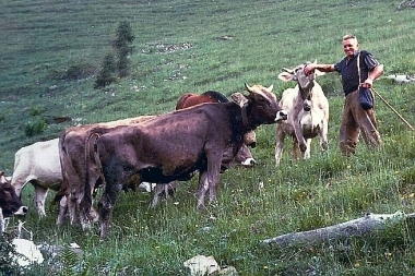 allevatori valle del chiese 2