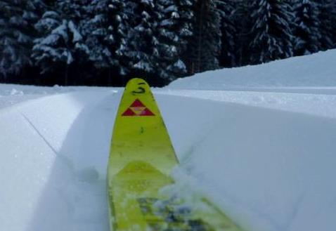 campionati fondo allievi 1